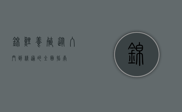锦鲤养殖，从入门到精通的全面指南