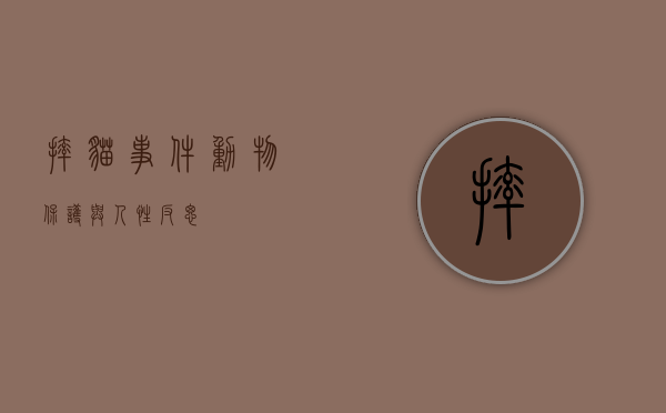 摔猫事件，动物保护与人性反思