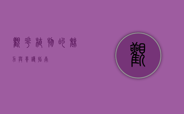 观花植物的魅力与养护指南
