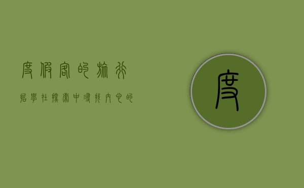度假客的旅行哲学，在探索中寻找内心的平静