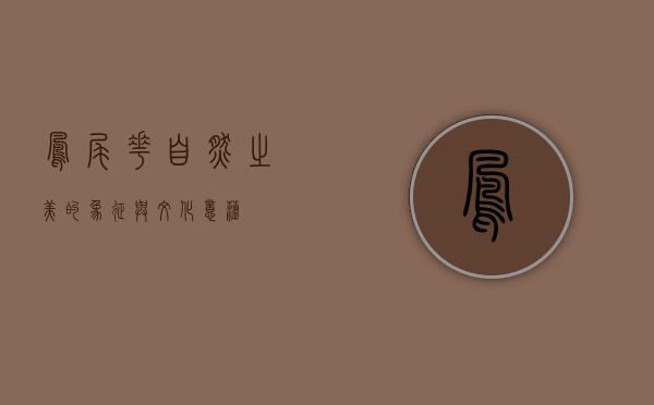 凤尾花，自然之美的象征与文化意蕴