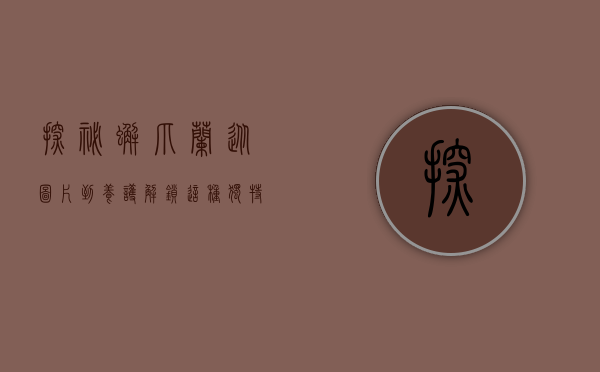 探秘蟹爪兰，从图片到养护，解锁这种独特植物的魅力