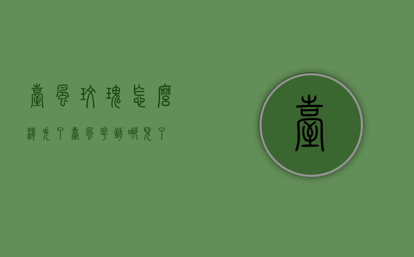 台风玫瑰怎么消失了（台风花到哪儿了）