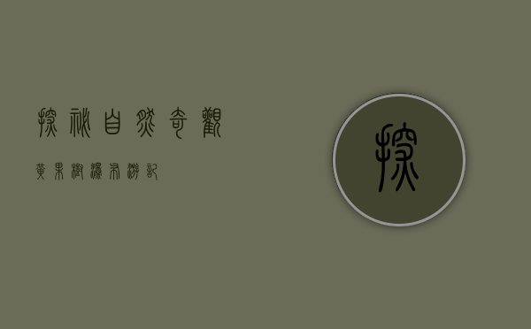探秘自然奇观—黄果树瀑布游记