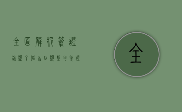 全面解析签证种类，了解不同类型的签证及其适用场景