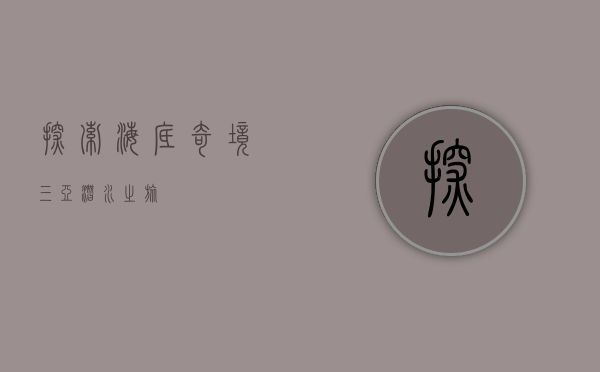 探索海底奇境，三亚潜水之旅