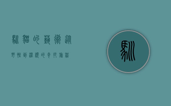 驯猫的艺术，从野性到温顺的奇妙旅程