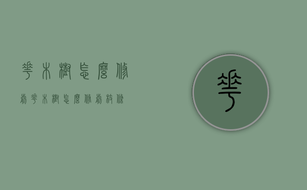 花木树怎么修剪（花木树怎么修剪枝条）