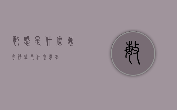 敏感是什么意思（情感是什么意思）