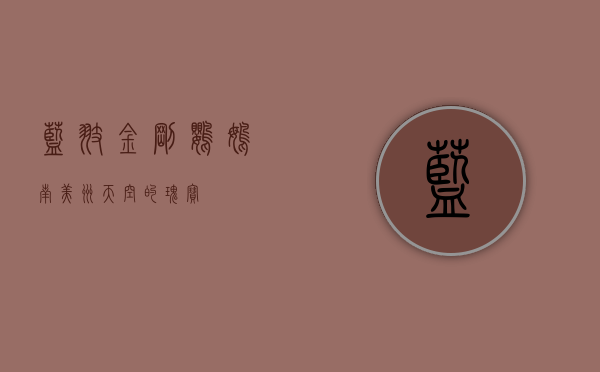 蓝翅金刚鹦鹉,南美洲天空的瑰宝 蓝翅金刚鹦鹉,南美洲天空的瑰宝