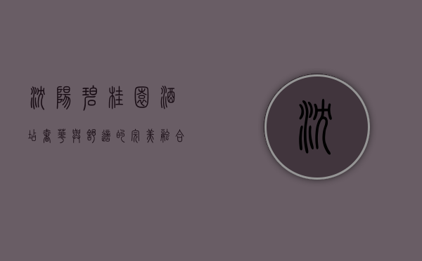 沈阳碧桂园酒店，奢华与舒适的完美融合，打造城市度假新体验