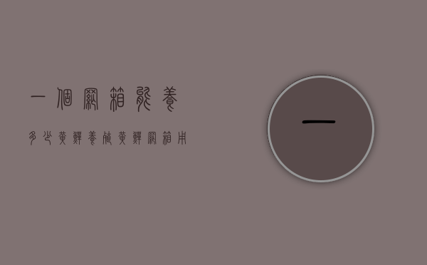 一个网箱能养多少黄鳝（养殖黄鳝网箱用几目的网箱）
