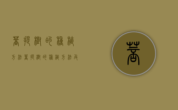 菩提树的种植方法（菩提树的种植方法及养护方法）