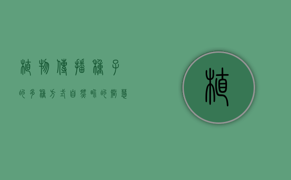 植物传播种子的多种方式，自然界的智慧与多样性