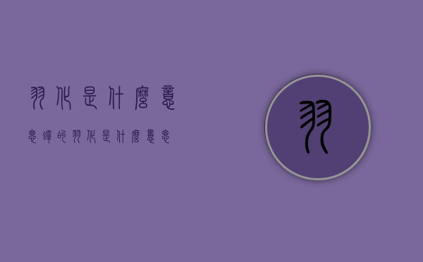 羽化是什么意思（蝉的羽化是什么意思）