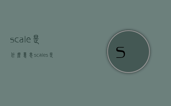 scale是什么意思（scales是什么意思）