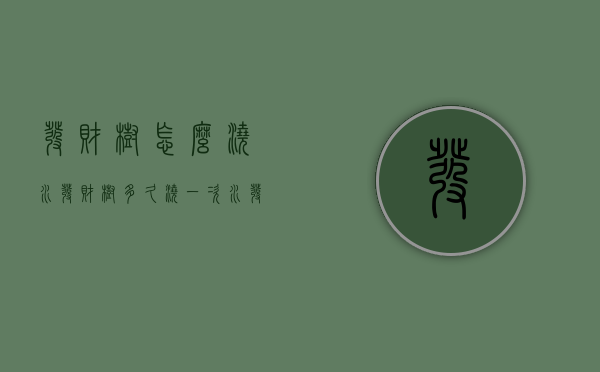 发财树怎么浇水（发财树多久浇一次水 发财树怎么浇水）