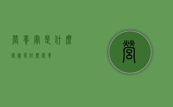 营养蜜是什么（蜜宝有什么营养）