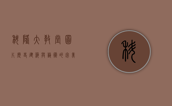 科隆大教堂图片，历史、建筑与艺术的完美融合