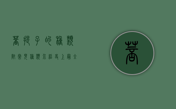 菩提子的种类，附常见种类介绍（史上最全菩提子种类图示,你见过几个?）