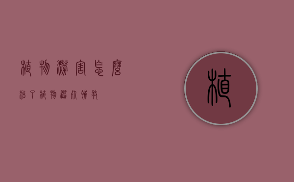 植物涝害怎么治了（植物涝死补救）