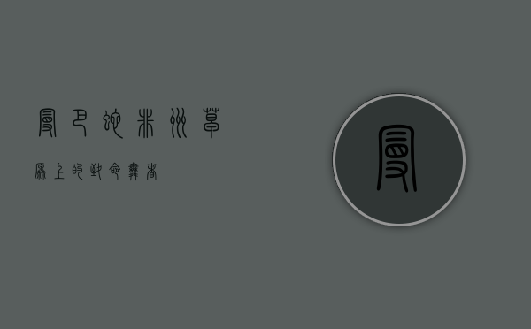 曼巴蛇，非洲草原上的致命舞者