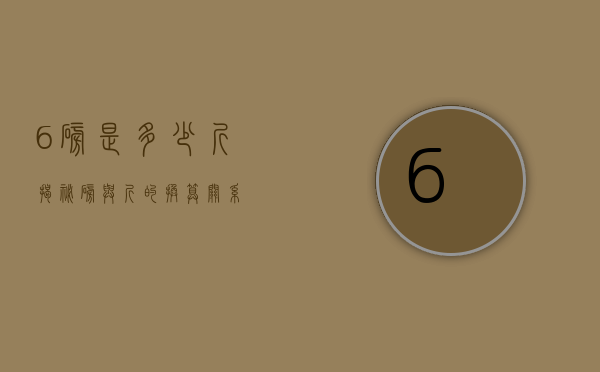 6磅是多少斤？揭秘磅与斤的换算关系