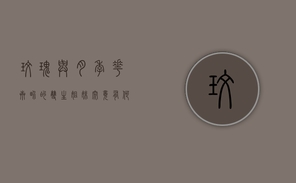 玫瑰与月季，花卉界的双生姐妹，究竟有何不同？