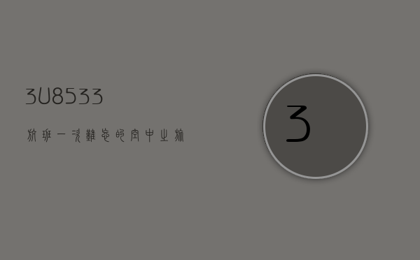 3U8533航班，一次难忘的空中之旅