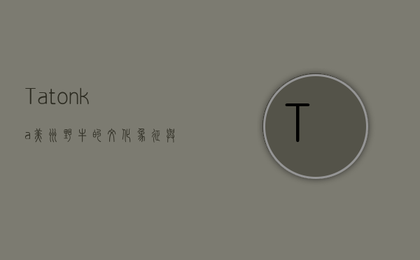 Tatonka，美洲野牛的文化象征与生态保护