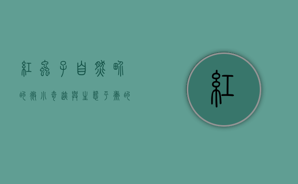 红虫子，自然界的微小奇迹与生态平衡的守护者