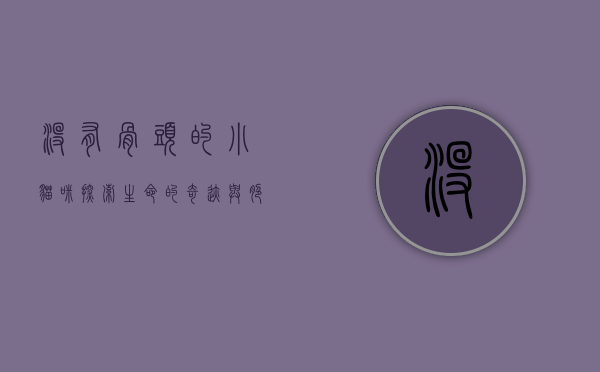 没有骨头的小猫咪，探索生命的奇迹与脆弱