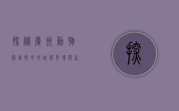 探秘广州动物园，城市中的自然奇境与生态教育乐园