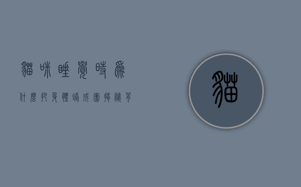 猫咪睡觉时为什么把身体蜷成团？揭秘背后的科学原理与行为习惯
