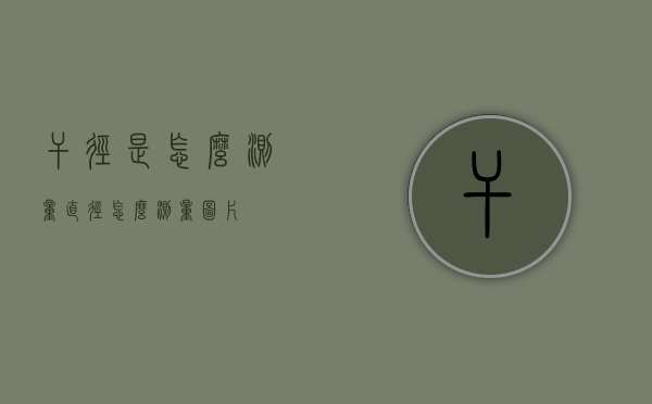 干径是怎么测量（直径怎么测量图片）