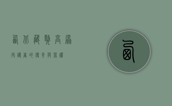 西北藏獒，高原守护者的传奇与荣耀