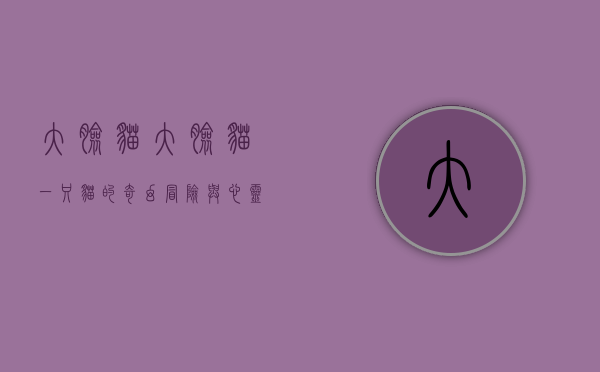 大脸猫大脸猫，一只猫的奇幻冒险与心灵治愈之旅