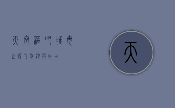 天空酒吧，城市之巅的浪漫与自由