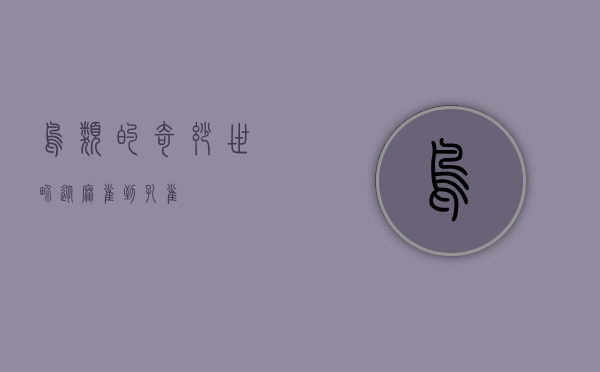 鸟类的奇妙世界，从麻雀到孔雀