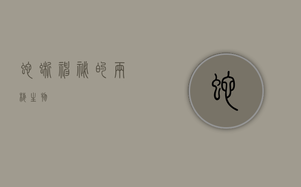 蛇蜥，神秘的两栖生物