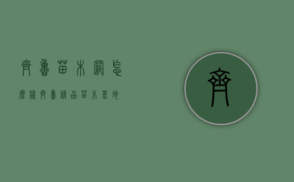 齐鲁苗木网怎么样（齐鲁精品苗木基地）