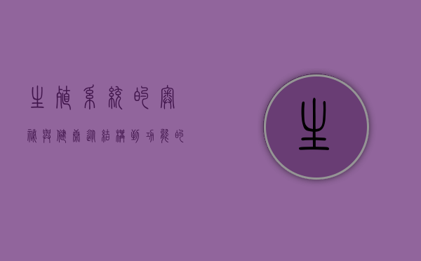 生殖系统的奥秘与健康，从结构到功能的全面解析