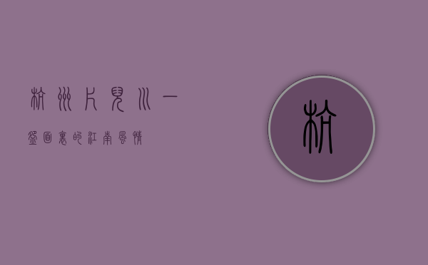 杭州片儿川，一碗面里的江南风情