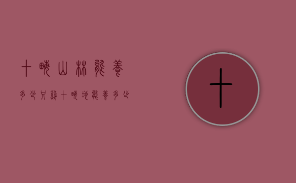 十亩山林能养多少只鸡（十亩地能养多少只鸡）