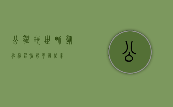 公猫的世界，从行为习性到养护指南