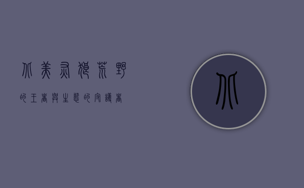 北美灰狼，荒野的王者与生态的守护者