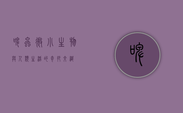 啤虫，微小生物与人类生活的奇妙交织