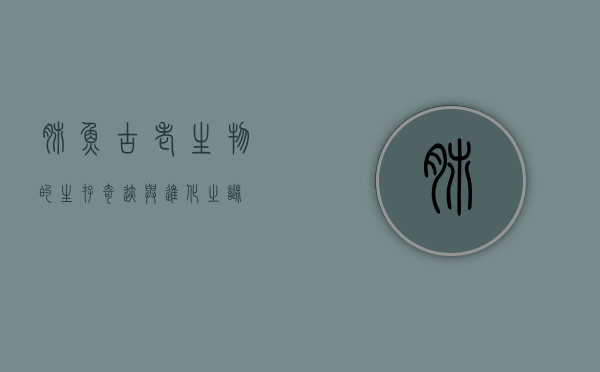 肺鱼，古老生物的生存奇迹与进化之谜