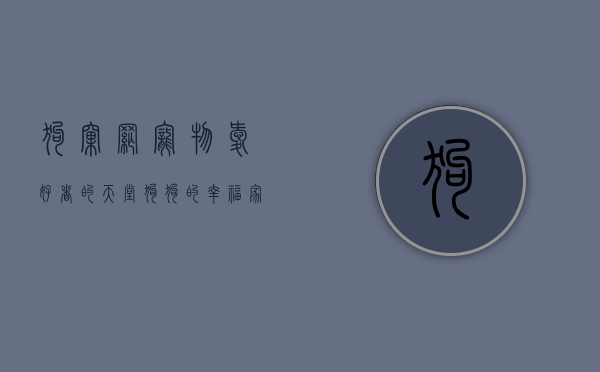 狗窝网，宠物爱好者的天堂，狗狗的幸福家园