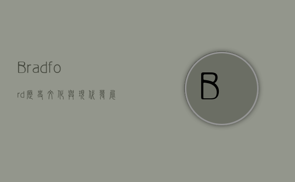 Bradford，历史、文化与现代发展的交汇之地